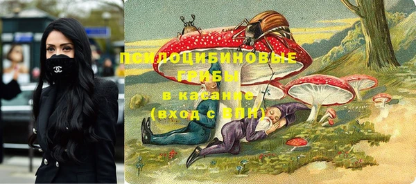 бошки Богородицк