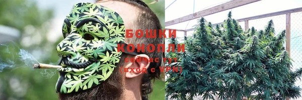 бошки Богородицк