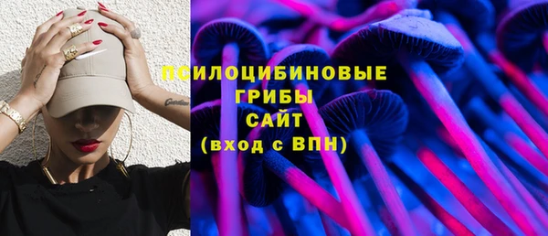 бошки Богородицк