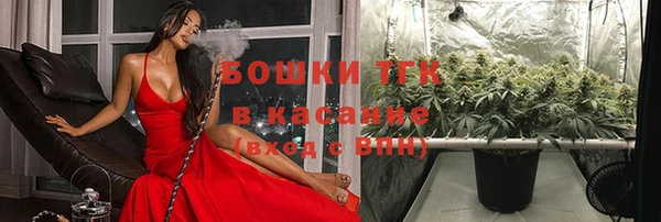 дурь Богданович